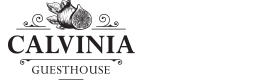 Calvinia Guesthouse